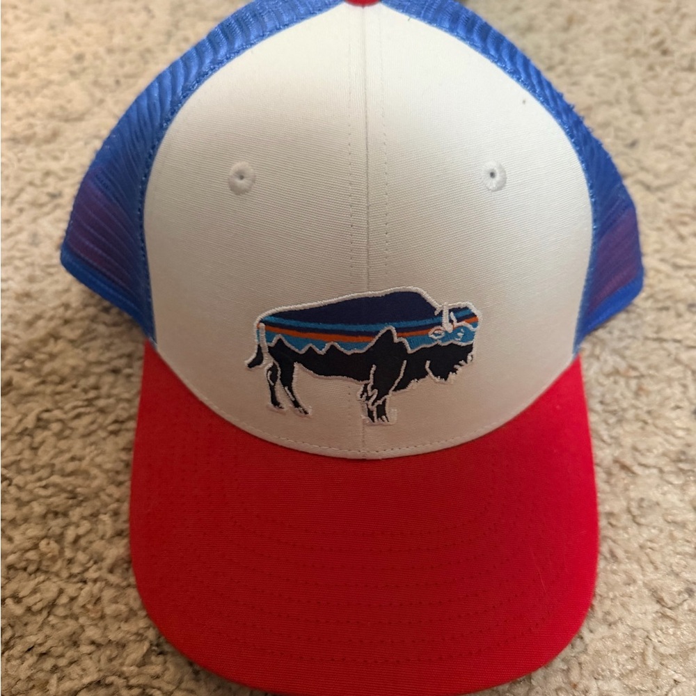 Patagonia Buffalo Trucker Hat